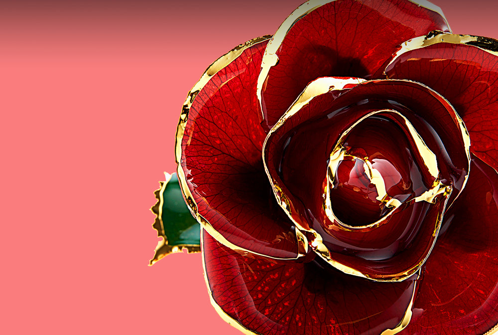 Current Roses Gold Liquid Luxury - Premium 24K Gold Plated Roses - 24K Gold Plated Gifts